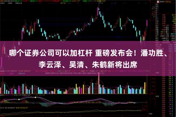 哪个证券公司可以加杠杆 重磅发布会！潘功胜、李云泽、吴清、朱鹤新将出席