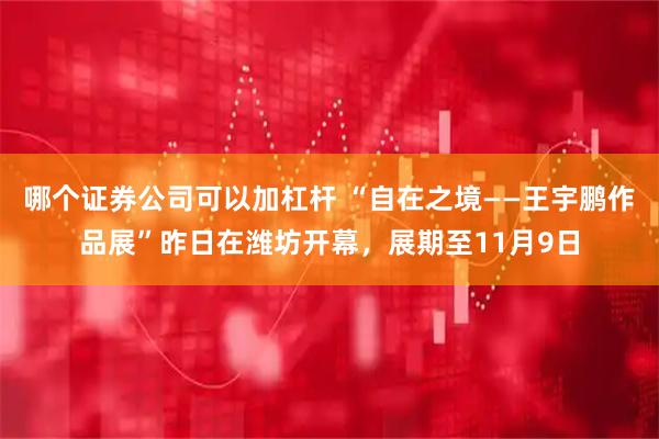 哪个证券公司可以加杠杆 “自在之境——王宇鹏作品展”昨日在潍坊开幕，展期至11月9日