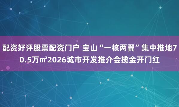 配资好评股票配资门户 宝山“一核两翼”集中推地70.5万㎡2026城市开发推介会揽金开门红